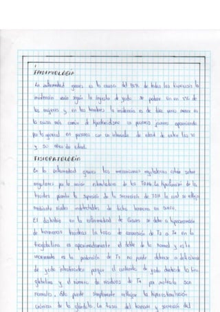 Portafolio fisologia