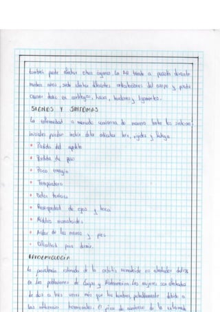 Portafolio fisologia