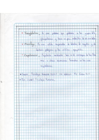 Portafolio fisologia