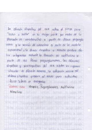 Portafolio fisologia