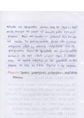 Portafolio fisologia