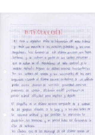 Portafolio fisologia