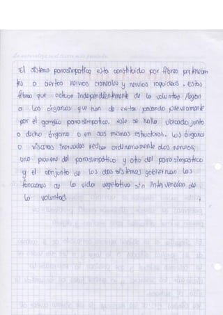 Portafolio fisologia