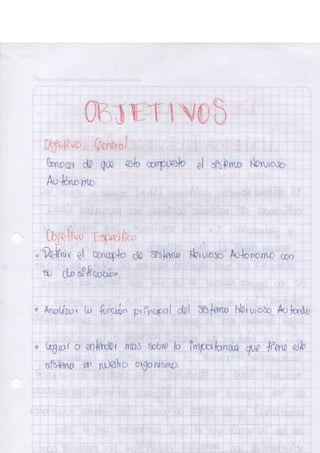 Portafolio fisologia