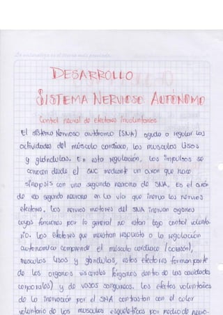 Portafolio fisologia