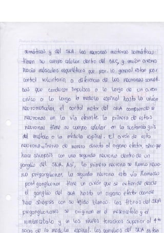 Portafolio fisologia