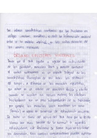 Portafolio fisologia