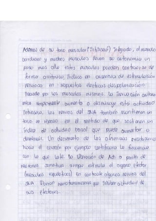 Portafolio fisologia