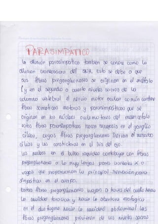 Portafolio fisologia