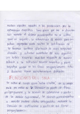 Portafolio fisologia