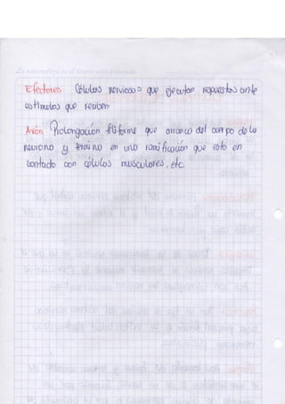 Portafolio fisologia