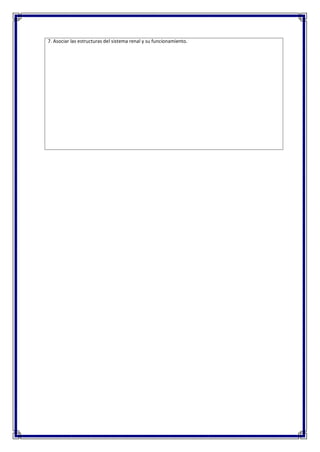 7. Asociar las estructuras del sistema renal y su funcionamiento.
 