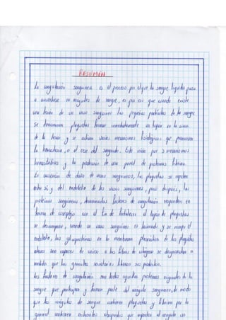 Portafolio fisologia