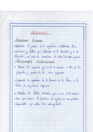 Portafolio fisologia