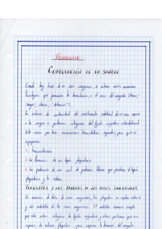 Portafolio fisologia