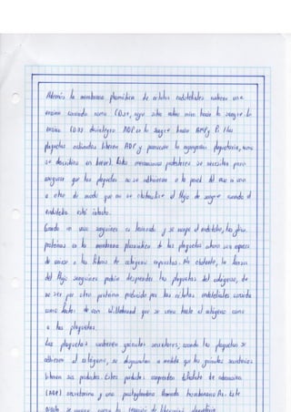 Portafolio fisologia