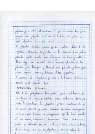 Portafolio fisologia