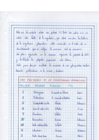 Portafolio fisologia