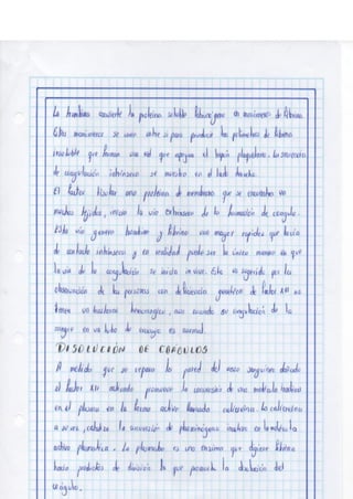 Portafolio fisologia