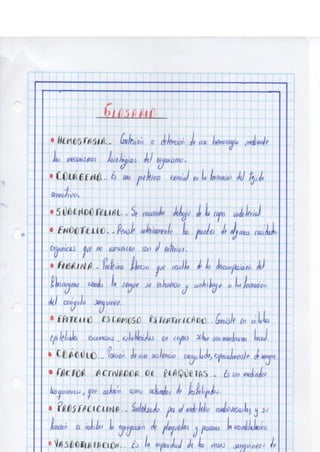 Portafolio fisologia