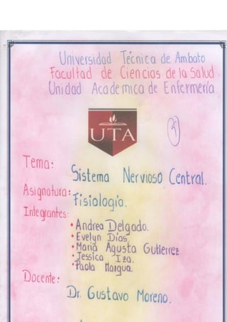 Portafolio fisologia