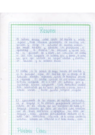 Portafolio fisologia