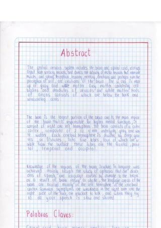 Portafolio fisologia