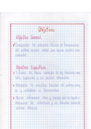 Portafolio fisologia