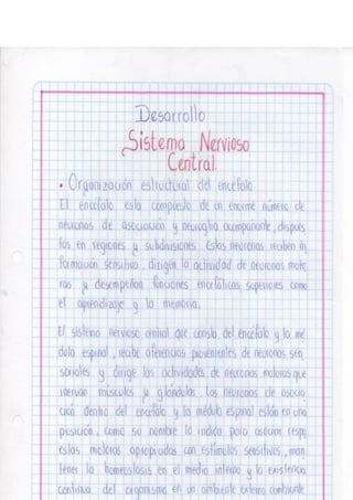 Portafolio fisologia