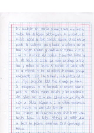 Portafolio fisologia