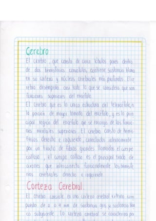 Portafolio fisologia