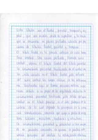 Portafolio fisologia