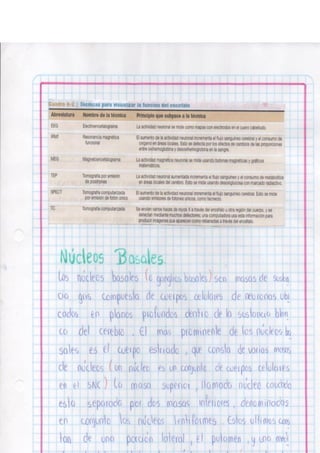 Portafolio fisologia