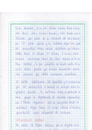 Portafolio fisologia