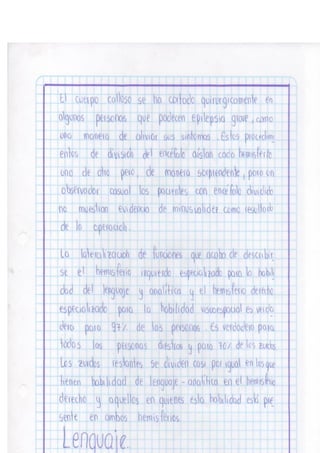 Portafolio fisologia