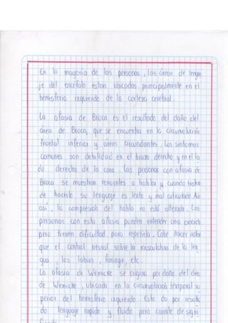 Portafolio fisologia