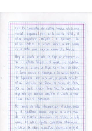 Portafolio fisologia