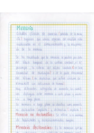 Portafolio fisologia