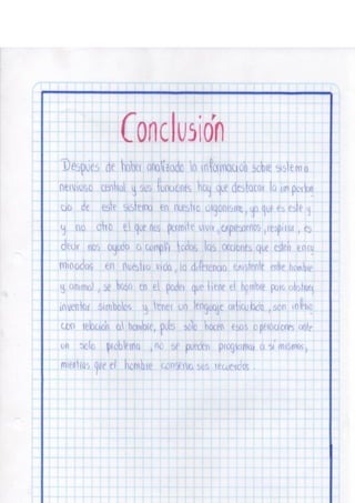 Portafolio fisologia