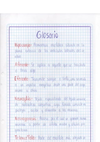 Portafolio fisologia