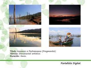 Titulo: Amemos a Pachamama (Fragmentos)
Técnica: Documental artístico.
Duración: 4min.
Portafolio Digital.
 