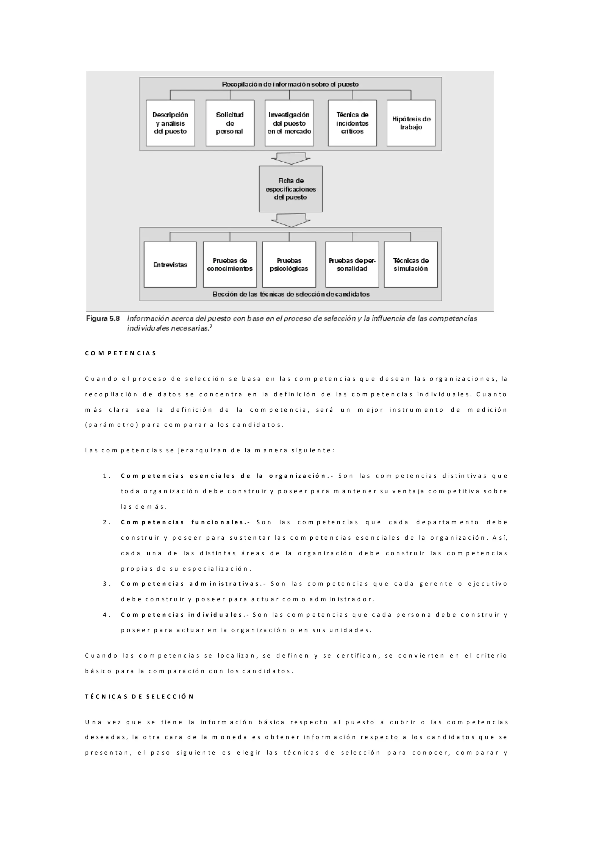 C O M P E T E N C I A S
C u a n d o e l p r o c e s o d e s e le c c ió n s e b a s a e n la s c o m p e t e n c ia s q u e d e s e a n la s o r g a n iz a c io n e s , la
r e c o p ila c ió n d e d a t o s s e c o n c e n t r a e n la d e f in ic i ó n d e la s c o m p e t e n c ia s in d iv id u a le s . C u a n t o
m á s c la r a s e a la d e f in ic ió n d e la c o m p e t e n c ia , s e r á u n m e j o r in s t r u m e n t o d e m e d ic i ó n
( p a r á m e t r o ) p a r a c o m p a r a r a lo s c a n d id a t o s .
L a s c o m p e t e n c ia s s e j e r a r q u i z a n d e la m a n e r a s ig u ie n t e :
1 . C o m p e t e n c i a s e s e n c i a l e s d e l a o r g a n i z a c i ó n . - S o n la s c o m p e t e n c ia s d is t in t iv a s q u e
t o d a o r g a n iz a c ió n d e b e c o n s t r u ir y p o s e e r p a r a m a n t e n e r s u v e n t a j a c o m p e t it iv a s o b r e
la s d e m á s .
2 . C o m p e t e n c i a s f u n c i o n a l e s . - S o n la s c o m p e t e n c ia s q u e c a d a d e p a r t a m e n t o d e b e
c o n s t r u ir y p o s e e r p a r a s u s t e n t a r la s c o m p e t e n c ia s e s e n c ia le s d e l a o r g a n iz a c ió n . A s í,
c a d a u n a d e la s d is t in t a s á r e a s d e la o r g a n i z a c ió n d e b e c o n s t r u ir la s c o m p e t e n c ia s
p r o p ia s d e s u e s p e c ia li z a c ió n .
3 . C o m p e t e n c i a s a d m i n i s t r a t i v a s . - S o n la s c o m p e t e n c ia s q u e c a d a g e r e n t e o e j e c u t iv o
d e b e c o n s t r u ir y p o s e e r p a r a a c t u a r c o m o a d m in is t r a d o r .
4 . C o m p e t e n c i a s i n d i v i d u a l e s . - S o n la s c o m p e t e n c ia s q u e c a d a p e r s o n a d e b e c o n s t r u ir y
p o s e e r p a r a a c t u a r e n la o r g a n iz a c ió n o e n s u s u n id a d e s .
C u a n d o la s c o m p e t e n c ia s s e l o c a liz a n , s e d e f in e n y s e c e r t if ic a n , s e c o n v ie r t e n e n e l c r it e r i o
b á s ic o p a r a la c o m p a r a c ió n c o n l o s c a n d i d a t o s .
T É C N I C A S D E S E L E C C I Ó N
U n a v e z q u e s e t ie n e la in f o r m a c ió n b á s ic a r e s p e c t o a l p u e s t o a c u b r ir o la s c o m p e t e n c ia s
d e s e a d a s , la o t r a c a r a d e la m o n e d a e s o b t e n e r in f o r m a c ió n r e s p e c t o a lo s c a n d id a t o s q u e s e
p r e s e n t a n , e l p a s o s ig u ie n t e e s e l e g ir la s t é c n ic a s d e s e le c c ió n p a r a c o n o c e r , c o m p a r a r y
 