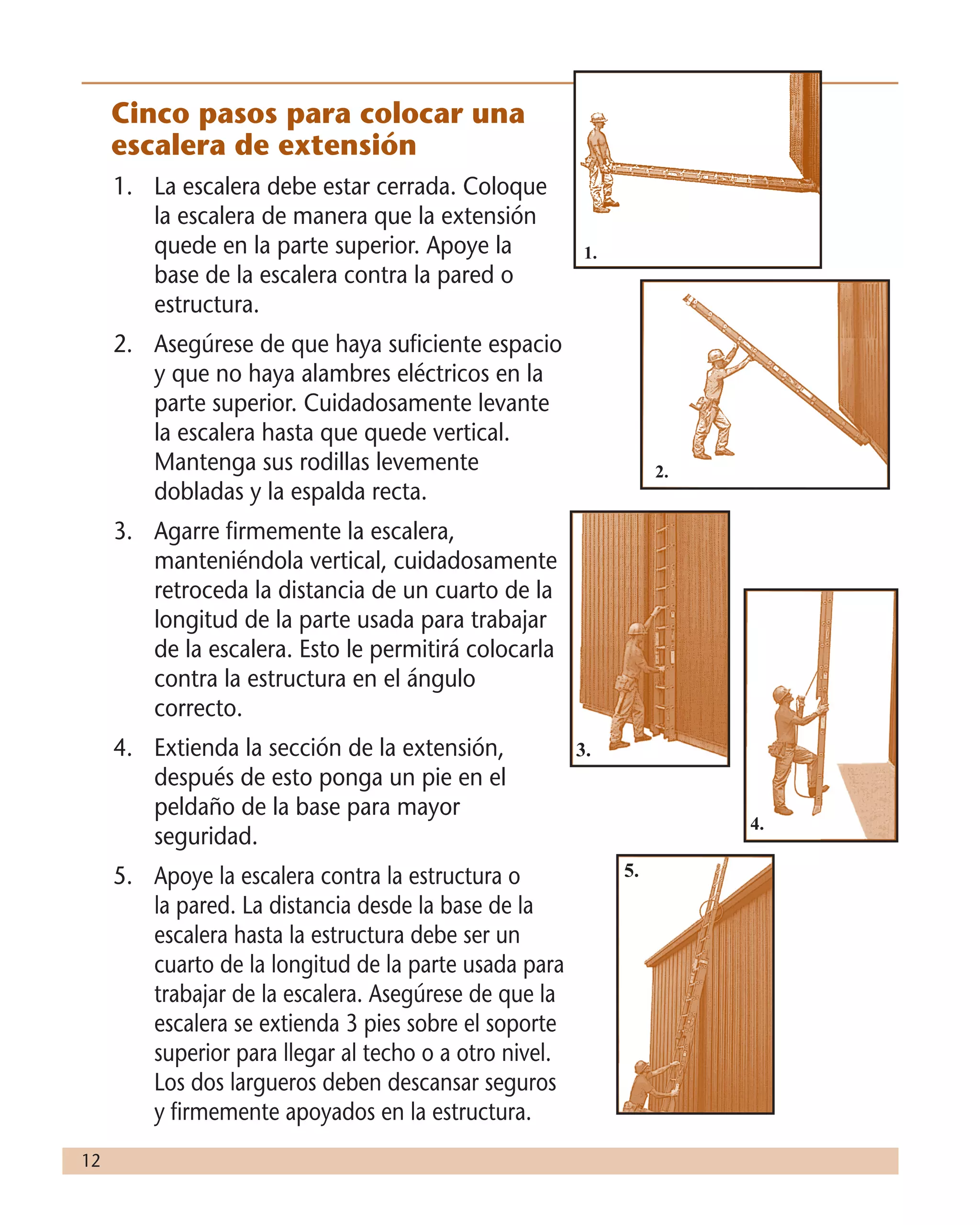12
Cinco pasos para colocar una
escalera de extensión
1.	 La escalera debe estar cerrada. Coloque
la escalera de manera que la extensión
quede en la parte superior. Apoye la
base de la escalera contra la pared o
estructura.
2.	 Asegúrese de que haya suficiente espacio
y que no haya alambres eléctricos en la
parte superior. Cuidadosamente levante
la escalera hasta que quede vertical.
Mantenga sus rodillas levemente
dobladas y la espalda recta.
3.	 Agarre firmemente la escalera,
manteniéndola vertical, cuidadosamente
retroceda la distancia de un cuarto de la
longitud de la parte usada para trabajar
de la escalera. Esto le permitirá colocarla
contra la estructura en el ángulo
correcto.
4.	 Extienda la sección de la extensión,
después de esto ponga un pie en el
peldaño de la base para mayor
seguridad.
5.	 Apoye la escalera contra la estructura o
la pared. La distancia desde la base de la
escalera hasta la estructura debe ser un
cuarto de la longitud de la parte usada para
trabajar de la escalera. Asegúrese de que la
escalera se extienda 3 pies sobre el soporte
superior para llegar al techo o a otro nivel.
Los dos largueros deben descansar seguros
y firmemente apoyados en la estructura.
2.
3.
4.
5.
	
1.
 