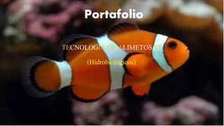 Portafolio
TECNOLOGIA DE ALIMETOS VI
(Hidrobiológicos)
 