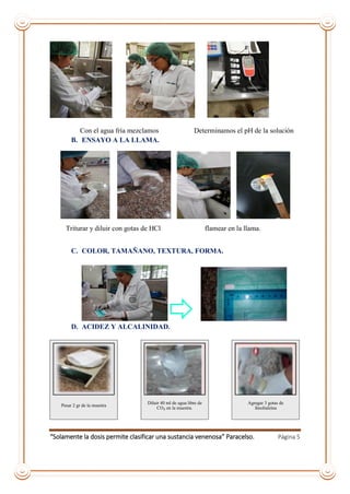“Solamente la dosis permite clasificar una sustancia venenosa” Paracelso. Página 5
Con el agua fría mezclamos Determinamos el pH de la solución
B. ENSAYO A LA LLAMA.
Triturar y diluir con gotas de HCl flamear en la llama.
C. COLOR, TAMAÑANO, TEXTURA, FORMA.
D. ACIDEZ Y ALCALINIDAD.
Pesar 2 gr de la muestra
Diluir 40 ml de agua libre de
CO₂ en la muestra.
Agregar 3 gotas de
fenoltaleina
 