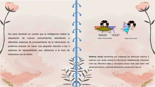 Así pues teniendo en cuenta que la inteligencia implica la
adquisición de nuevos conocimientos atendiendo a
diferentes sistemas de procesamiento de la información no
podemos avanzar sin hacer una pequeña mención a los 3
sistemas de representación que utilizamos a la hora de
interactuar con el medio.
Sistema visual representa con imágenes los estímulos internos y
externos que recibe retiene la información estableciendo relaciones
entre las diferentes ideas y conceptos porque tiene una visión más
global del entorno y aprende fácilmente a través de lo que ve
 