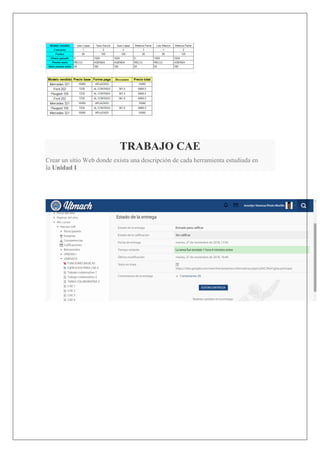 TRABAJO CAE
Crear un sitio Web donde exista una descripción de cada herramienta estudiada en
la Unidad I
 