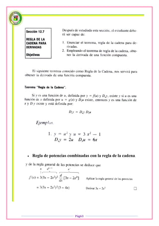    Regla de potencias combinadas con la regla de la cadena.




                           Pág63
 