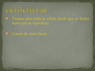    Tiempo que tarda la célula desde que se forma
    hasta que se reproduce.

   Consta de cinco fases:
 