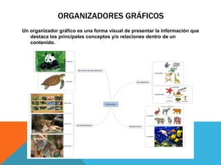 ORGANIZADORES GRÁFICOS
Un organizador gráfico es una forma visual de presentar la información que
destaca los principales conceptos y/o relaciones dentro de un
contenido.

 